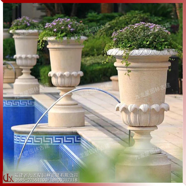 埃及米黃花缽圖片